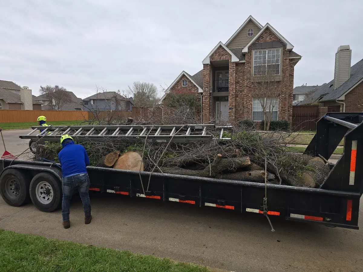 Expert Tree Fertilization with proper safety equipment in Lanagan